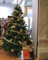 Der Weihnachtsbaum in Plovdiv beleuchtet