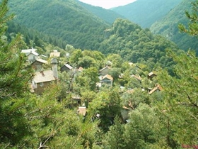 News from the village of Plochnik in the Rhodope Mounatins