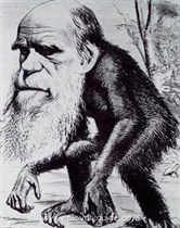 Vor 150 Jahren ver&#246;ffentlichte Charles Darwin seine Evolutionstheorie &quot;&#220;ber die Entstehung der Arten&quot;