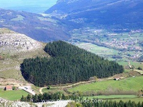 Bulgaria has been marking “Year of the Forest” since 1925  