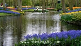 The Dutch park Keukenhof  presented in photos to the citizens of Plovdiv